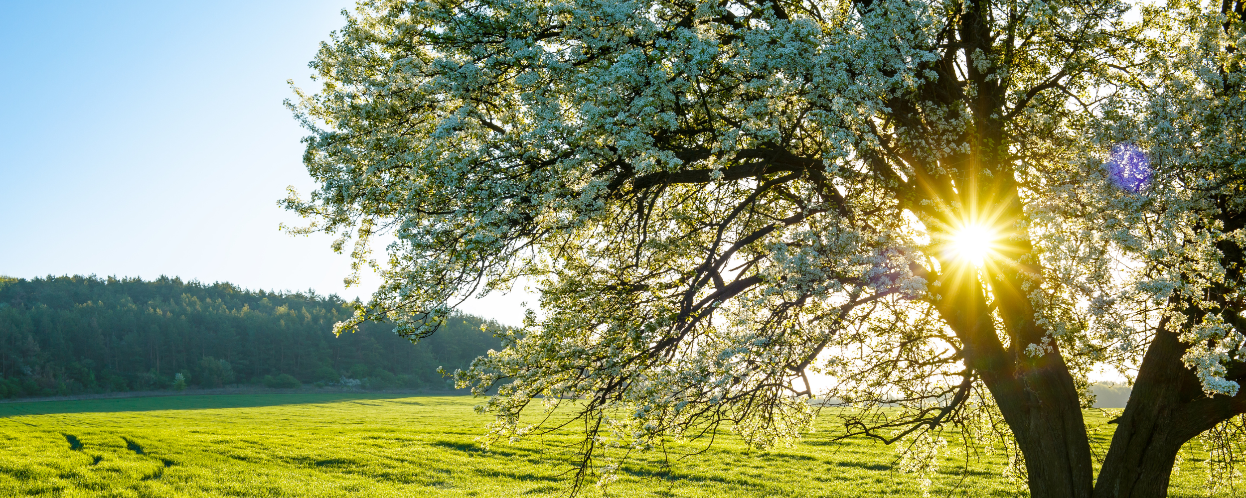 Prepare for the UK tax year end with our planning guide Image