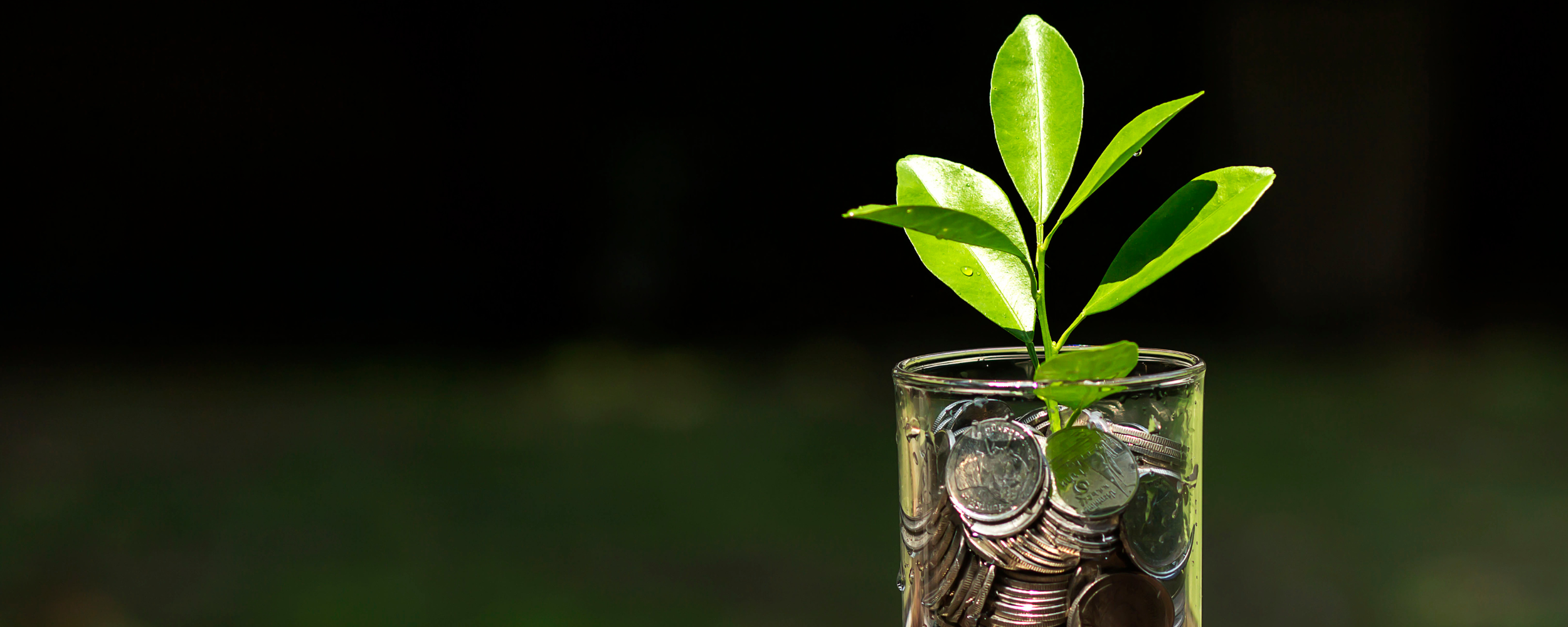 Tax planning strategies Image