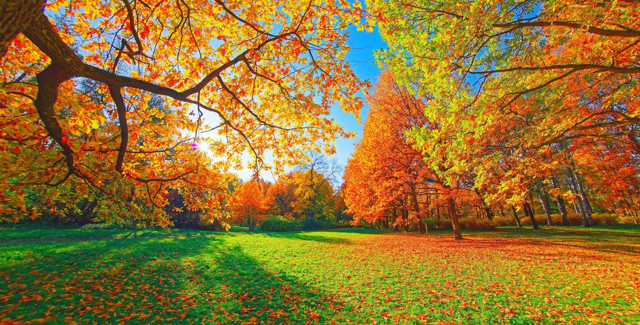 Autumn landscape