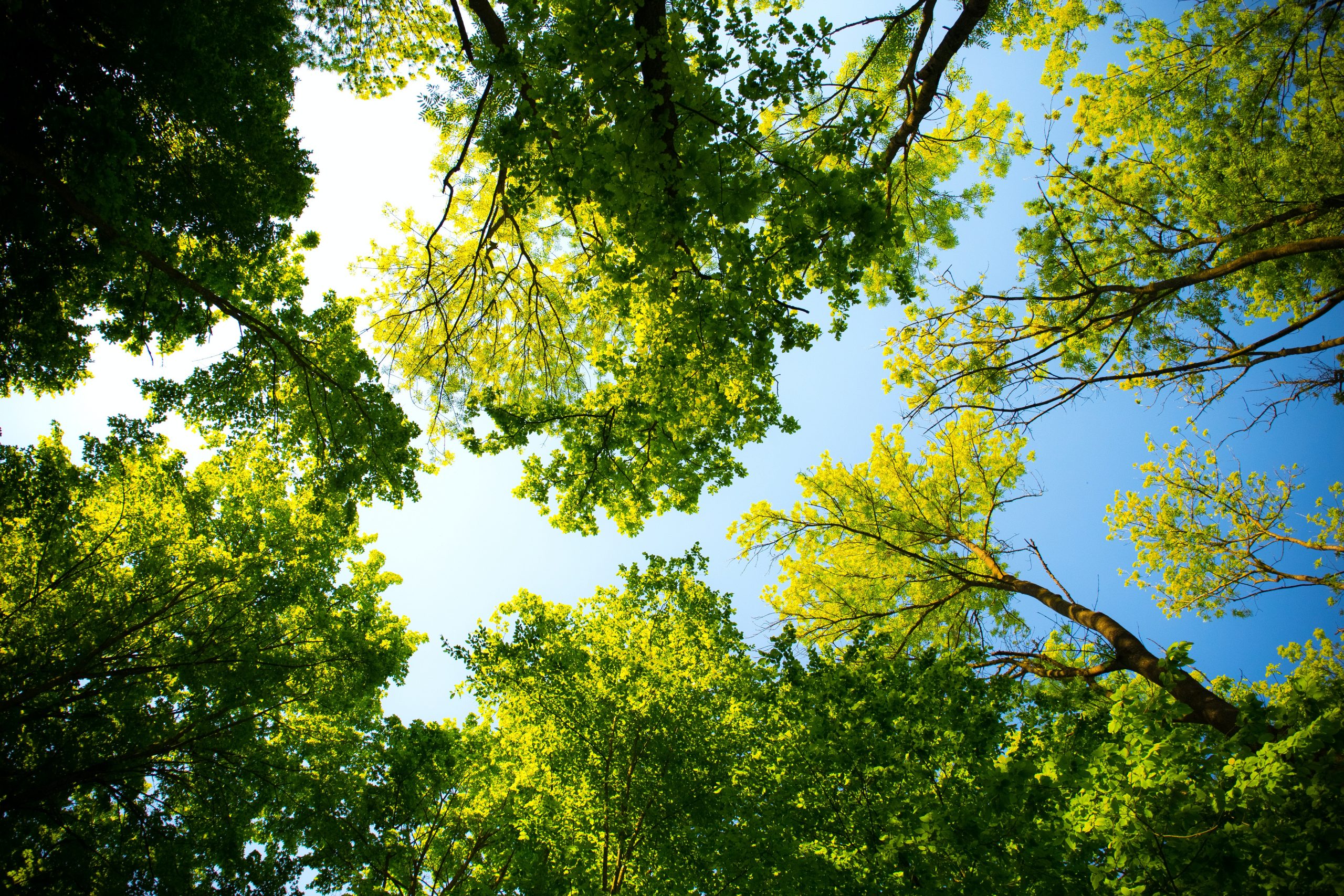 Charity Newsletter – Spring 2025 Image