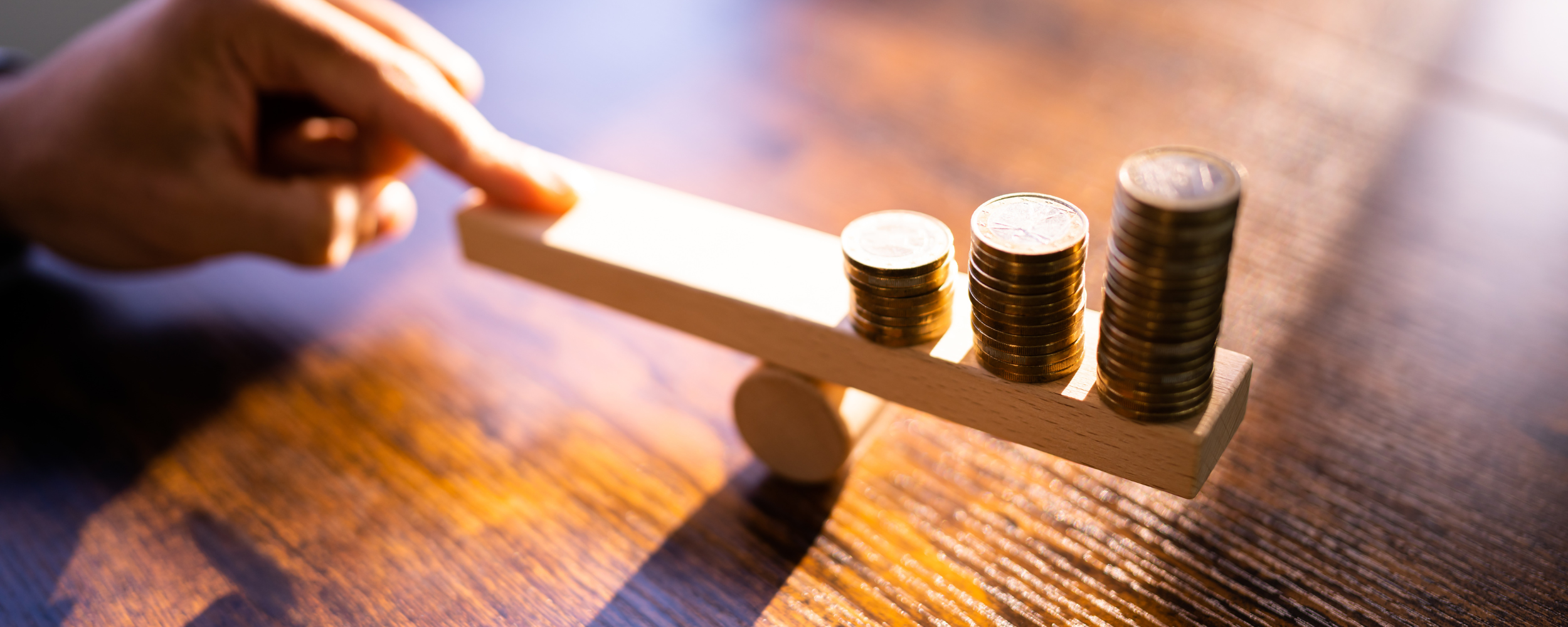 balancing investment charity